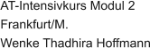 AT-Intensivkurs Modul 2 Frankfurt/M.  Wenke Thadhira Hoffmann