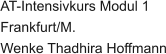 AT-Intensivkurs Modul 1 Frankfurt/M.  Wenke Thadhira Hoffmann