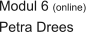 Modul 6 (online) Petra Drees